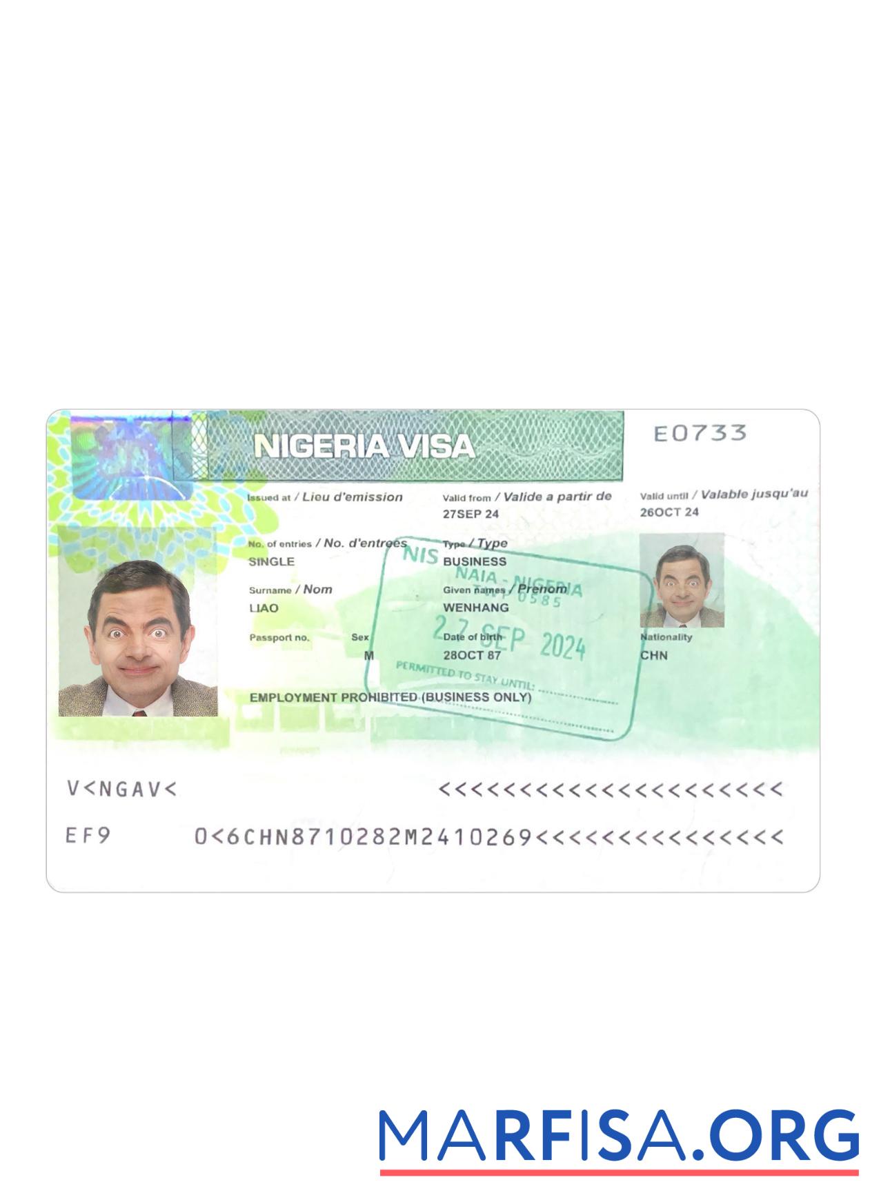 Realistic Nigeria visa 2024 present template